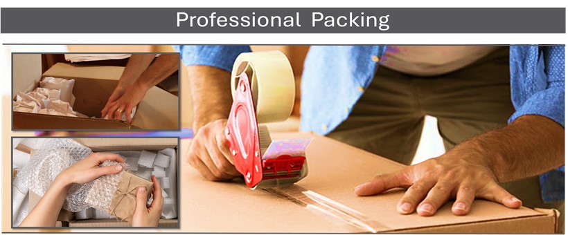 Professional Packing Service